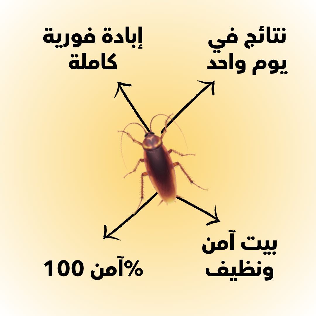 قاتل الصراصير فوري